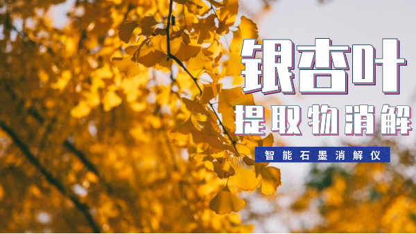 銀杏葉提取物消解最簡單方法！一眼就會